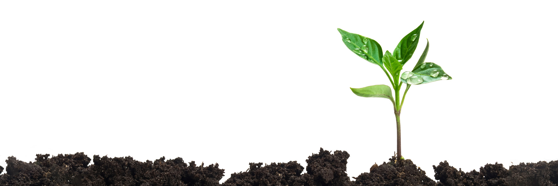 Additional Applications