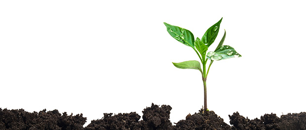 Additional Applications